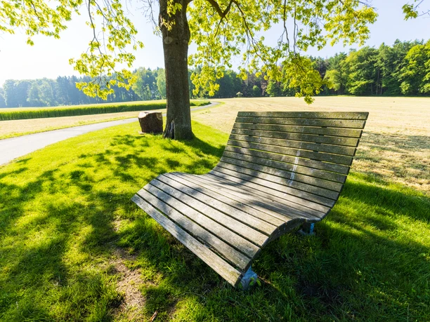 Stemweder Berg Eine moderne Holzbank unter einem Baum, umgeben von grünen Wiesen und einem gepflasterten Weg.