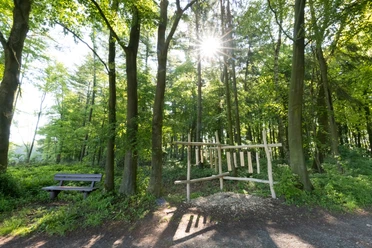 Stemweder Berg Ein Waldweg im Stemweder Berg mit Sonnenlicht zwischen Bäumen, einer Bank und einem Holzinstrument.