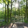 Stemweder Berg Ein Waldweg im Stemweder Berg mit Sonnenlicht zwischen Bäumen, einer Bank und einem Holzinstrument.