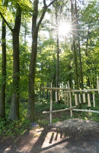 Stemweder Berg Ein Waldweg im Stemweder Berg mit Sonnenlicht zwischen Bäumen, einer Bank und einem Holzinstrument.