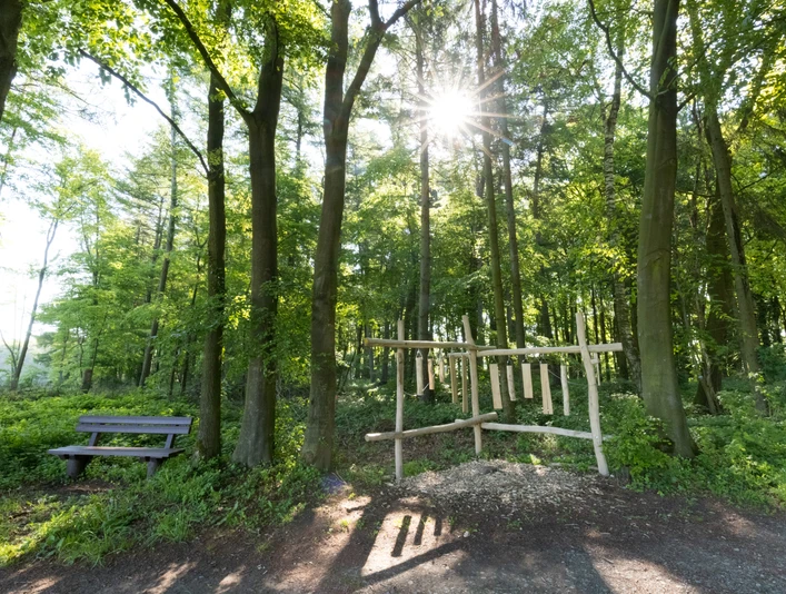 Stemweder Berg Ein Waldweg im Stemweder Berg mit Sonnenlicht zwischen Bäumen, einer Bank und einem Holzinstrument.