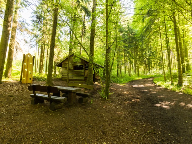 Wanderweg durch dichten grünen Wald im Stemweder Berg mit einer Holzbank und einem kleinen Unterstand.