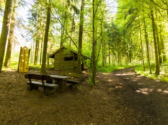 Stemweder Berg Wanderweg durch dichten grünen Wald im Stemweder Berg mit einer Holzbank und einem kleinen Unterstand.