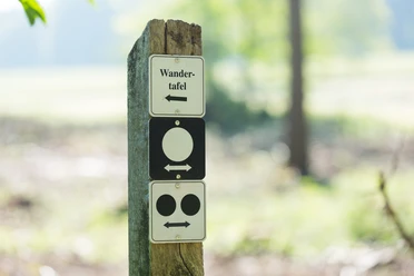 Stemweder Berg Holzpfosten mit Wandertafel und zwei Orientierungsschildern im Grünen, weicher Hintergrund.