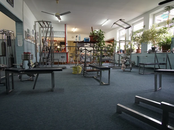 Ein geräumiges Fitnessstudio mit verschiedenen Trainingsgeräten, Hantelbänken und Pflanzen an den Fenstern.