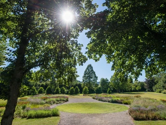 Der Staudengarten im GrƤflichen Park, wird von der Sonne beleuchtet.