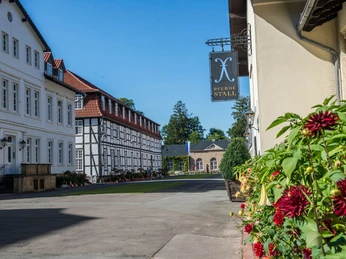 Historische Fachwerkgebäude und farbenprächtige Blumendekorationen am Gräflichen Park Bad Driburg.