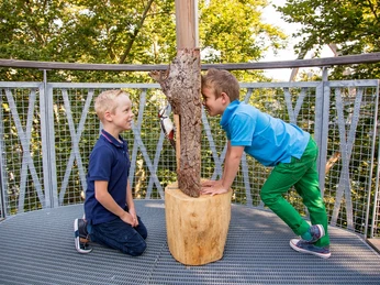 Kinder auf dem Baumkronenweg
