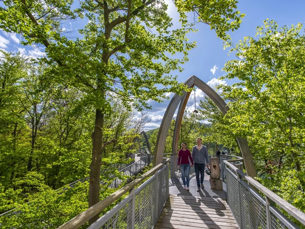 Familienglück am Edersee... Auf dem Baumkronenweg Edersee