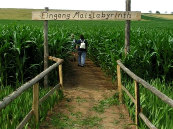 Maislabyrinth Edersee