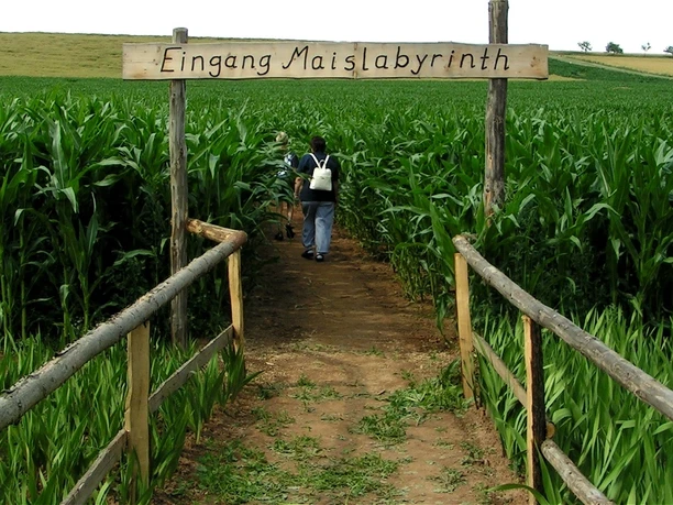 Maislabyrinth Edersee