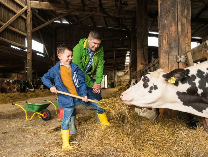 Kühe füttern auf Gut Hixholz in Velbert Ein Kind und ein Erwachsener stehen in einem Stall und füttern eine neugierige schwarz-weiße Kuh.