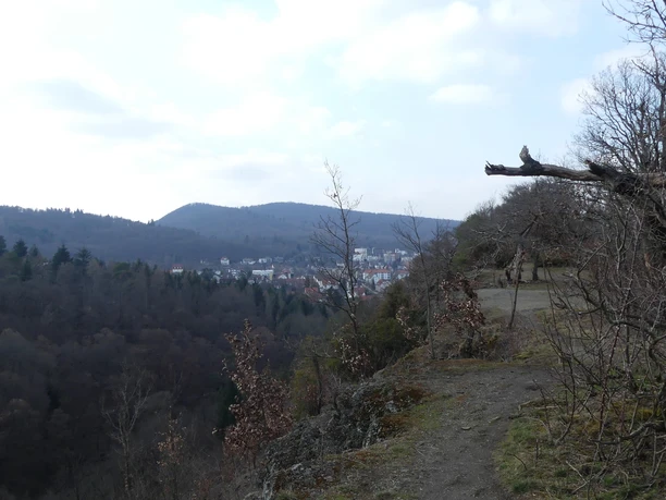 Tonschiefer-Klippen am Sonderrain (Naturschutzgebiet bei Bad Wildungen)