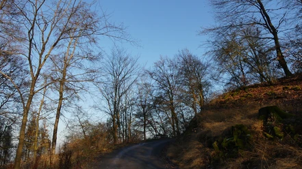 Aufstieg zum Homberg (Bei Bad Wildungen und Reinhardshausen)