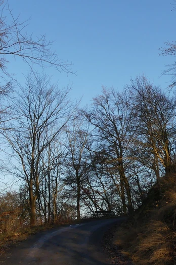 Aufstieg zum Homberg (Bei Bad Wildungen und Reinhardshausen)