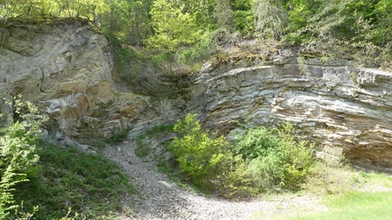 Steinbruch Bergfreiheiter Welle (Bei Bad Wildungen-Bergfreiheit)