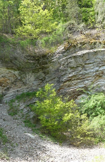 Steinbruch Bergfreiheiter Welle (Bei Bad Wildungen-Bergfreiheit)