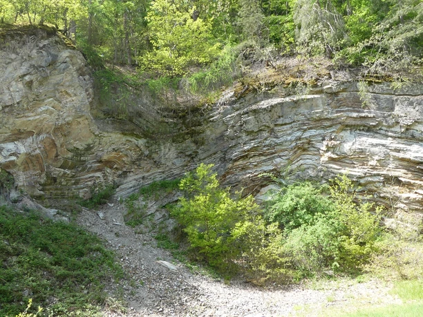 Steinbruch Bergfreiheiter Welle (Bei Bad Wildungen-Bergfreiheit)