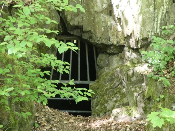 Alter Bergbauschacht Bergfreiheit, heute Fledermausstollen