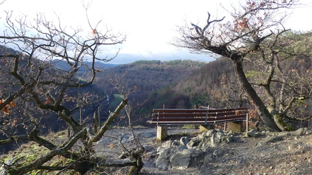 Aussichtsplattform auf dem Bilstein