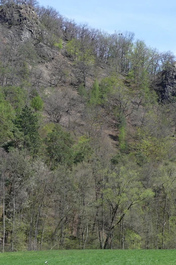 Bilsteinklippen im Frühjahr