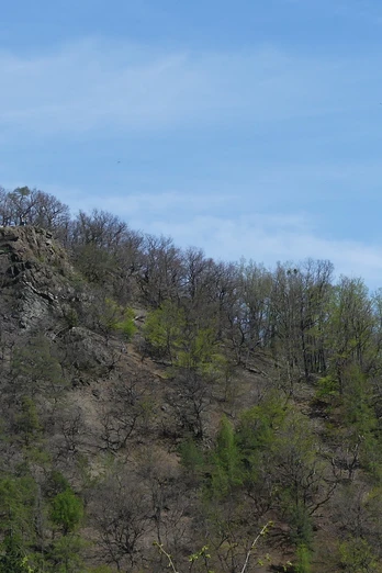 Bilsteinklippen, vom Wildetal aus gesehen