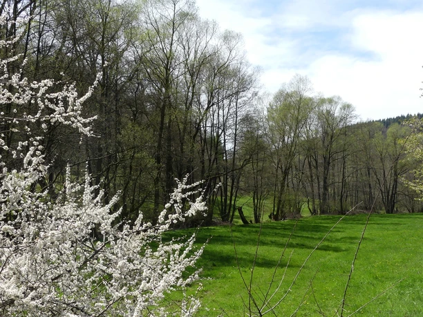 Das Wildetal im Frühjahr