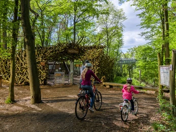 Mit dem Fahrrad bis zum Eingang