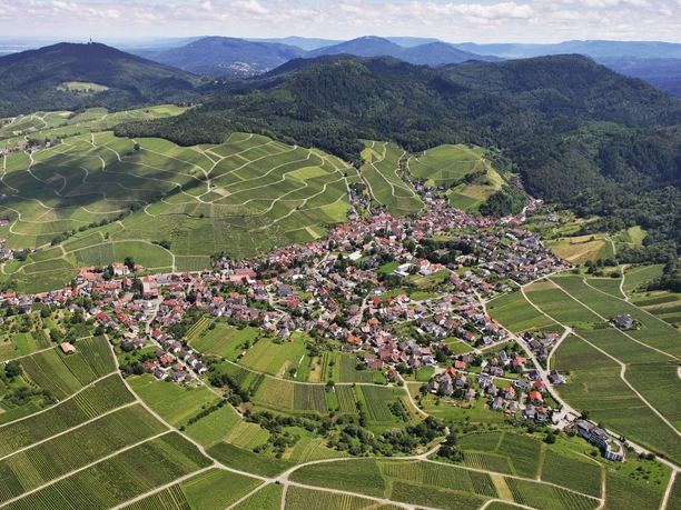 Baden-Badener Weingut am Mauerberg Neuweier von Oben Baden-Badener Weingut am Mauerberg Neuweier von Oben