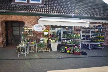 Blüte und Stil Ein gemütlicher Blumenladen vor einem Ziegelgebäude mit einer Auswahl an bunten Pflanzen und Blüten.