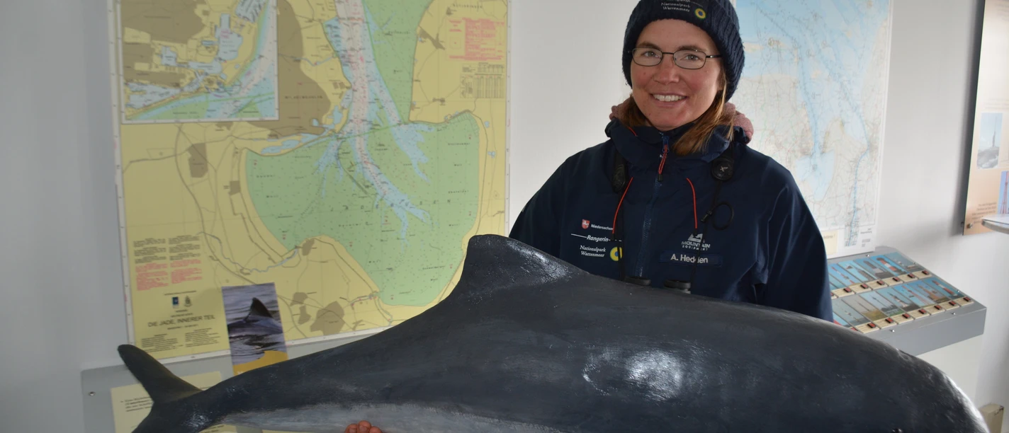 Ein Modell eines Schweinswals in Originalgröße zeigt Nationalpark-Rangerin Annelie Hedden. Bild Lutz Timmermann.JPG
