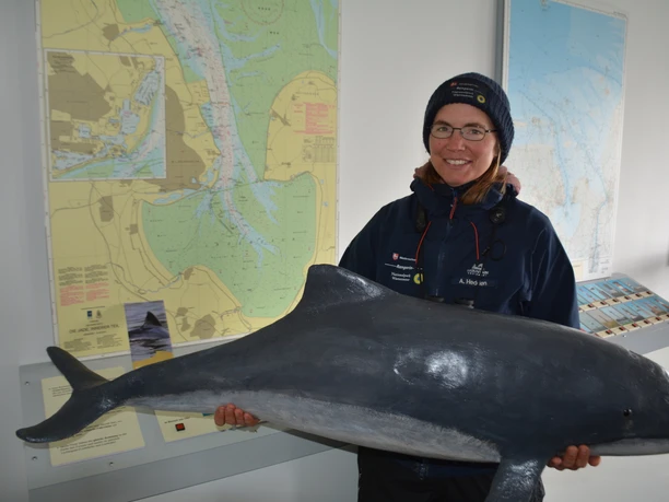Ein Modell eines Schweinswals in Originalgröße zeigt Nationalpark-Rangerin Annelie Hedden. Bild Lutz Timmermann.JPG