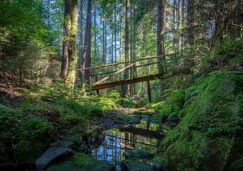 Lochbachklamm