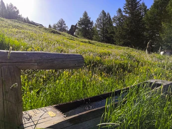 Rosswald_Feuerstelle_Brunnen.jpg Brunnen bei der Feuerstelle RosswaldFountain near the Rosswald fire pitFontaine près du foyer Rosswald