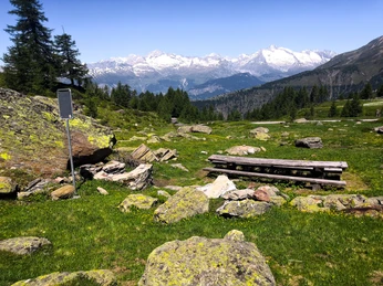 dav Feuerstelle WasenalpWasenalp fire pitFoyer Wasenalp