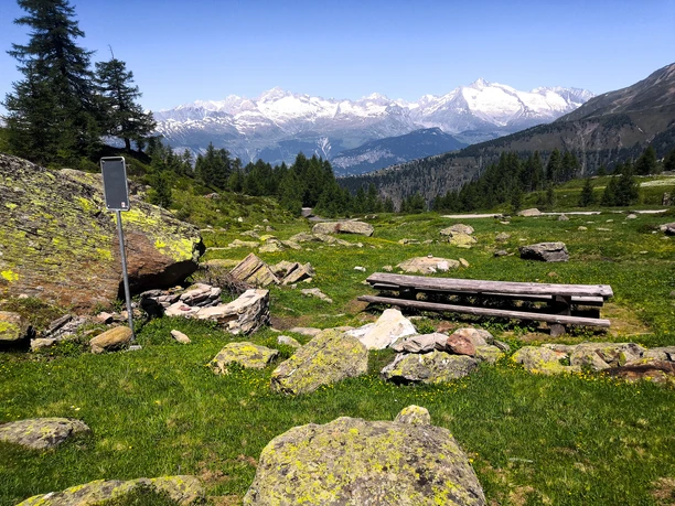 dav Wasenalp fire pit