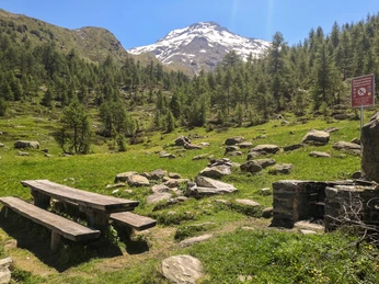 Wasenalp_Feuerstelle_Herd.jpg Feuerstelle WasenalpWasenalp fire pitFoyer Wasenalp