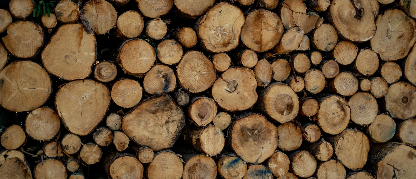 Holz.jpg Holz.jpg