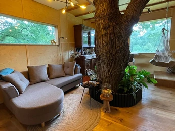 Innen-Ansicht mit Sofa und Blick auf den Baumstamm