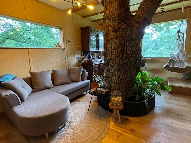 Innen-Ansicht mit Sofa und Blick auf den Baumstamm