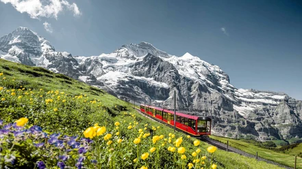 best-of-switzerland-tours-jungfraubahnen-sommer-berge.jpg
