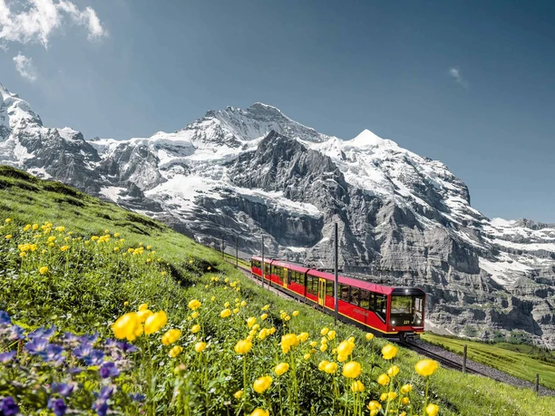 best-of-switzerland-tours-jungfraubahnen-sommer-berge.jpg