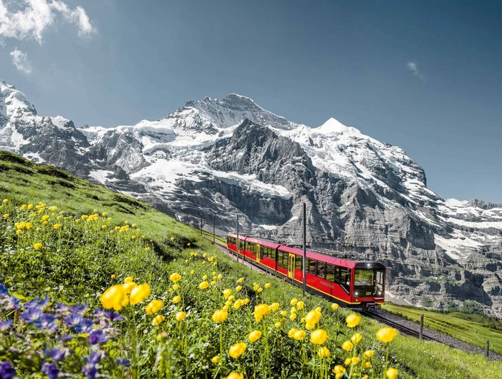 best-of-switzerland-tours-jungfraubahnen-sommer-berge.jpg