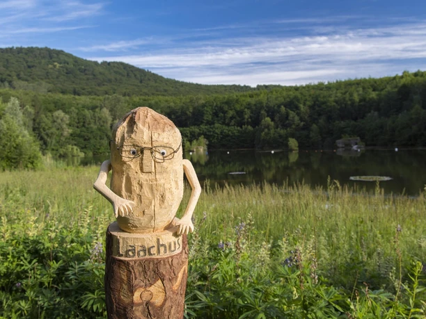 Laachus am Krufter Waldsee