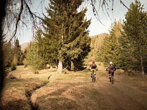 TrailGoat_Web_XT311461.jpeg