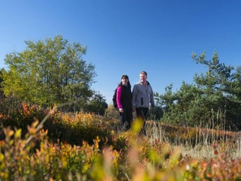 Paar beim Wandern auf dem Ettelsberg