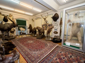 Sammlung exotischer Tierpräparate im Wasserschloss Heerse, darunter ein Eisbär, Elch und Löwe.