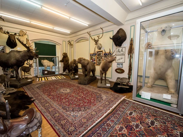 Sammlung exotischer Tierpräparate im Wasserschloss Heerse, darunter ein Eisbär, Elch und Löwe.