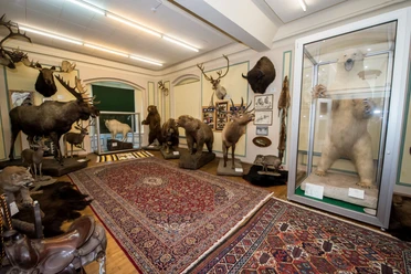 Wasserschloss Heerse Sammlung exotischer Tierpräparate im Wasserschloss Heerse, darunter ein Eisbär, Elch und Löwe.