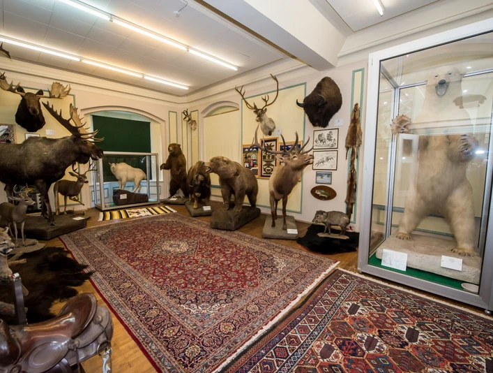 Wasserschloss Heerse Sammlung exotischer Tierpräparate im Wasserschloss Heerse, darunter ein Eisbär, Elch und Löwe.